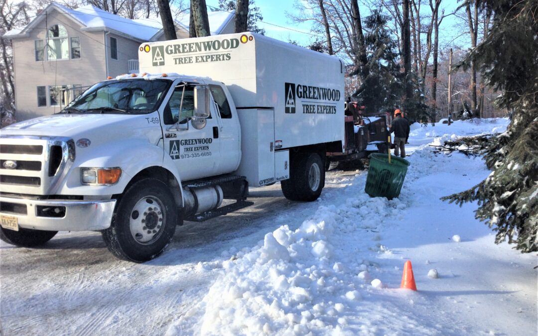 Shoveling, plowing, sanding…and pruning?